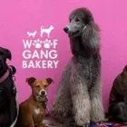 Business 9 image WOOF GANG BAKERY ORLANDO INTERNATIONAL AIRPORT in Orlando FL