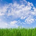 Business 3 image YOU'VE GOT MAIDS OF ORLANDO Residential Cleaning in Orlando FL