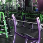 Business 6 image YOUFIT HEALTH CLUBS Youfit Health Clubs in Tampa FL