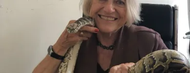 Business 8 image AER CONSULTING INC. Employment Consultant in Tampa FL