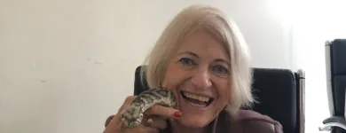 Business 9 image AER CONSULTING INC. Employment Consultant in Tampa FL