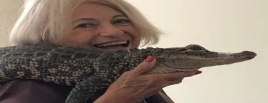 Business 10 image AER CONSULTING INC. Employment Consultant in Tampa FL