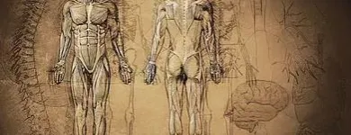 Business 10 image ALEJANDRA CHAYET Psychotherapists in San Diego CA