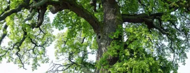 Business 2 image AMADEN GAY AGENCIES Insurance in East Hampton NY