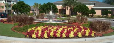 Business 1 image ANDERSON LESNIAK LIMITED INC. Landscaping & Lawn Services in Tampa FL
