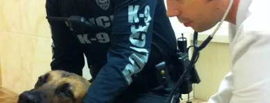 Business 3 image ANIMAL EMERGENCY CENTER in Orlando FL