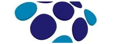 Business 2 image ANODYNE THERAPY, LLC Medical Clinic in Oldsmar FL