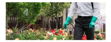Business 2 image APTIVE ENVIRONMENTAL Pest Control Services in Orlando FL