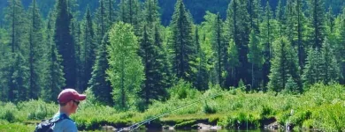 Business 4 image AURORA OUTDOOR SUPPLY in Odessa FL