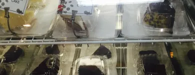 Business 1 image BAGEL EMPORIUM & GRILLE Restaurant in Coral Gables FL