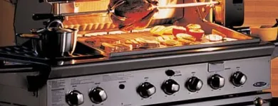 Business 3 image BBQ REPAIR DOCTOR Patio Heater Repair in San Diego CA