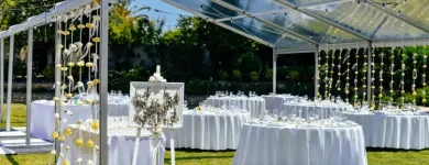 Business 1 image BIG DAWG PARTY RENTALS Business & Professional Services in New York NY