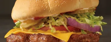 Business 15 image CHECKERS Restaurants in Orlando FL