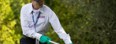 Business 5 image CLARK PEST CONTROL Whiteflies in San Diego CA