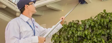 Business 6 image CLARK PEST CONTROL Whiteflies in San Diego CA