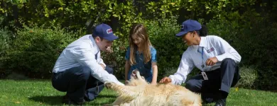 Business 9 image CLARK PEST CONTROL Whiteflies in San Diego CA