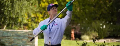 Business 10 image CLARK PEST CONTROL Whiteflies in San Diego CA