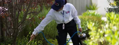 Business 15 image CLARK PEST CONTROL Whiteflies in San Diego CA