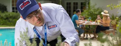 Business 18 image CLARK PEST CONTROL Whiteflies in San Diego CA