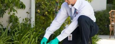 Business 24 image CLARK PEST CONTROL Whiteflies in San Diego CA