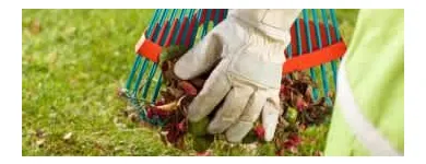Business 3 image COLLINS LAWN CARE in Wheat Ridge CO