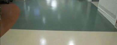 Business 3 image COMPLETE FLOOR CARE SOLUTIONS Cleaning Services in Tampa FL