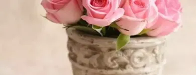 Business 2 image CRYSTAL MASSAGE Spa in Fort Lauderdale FL