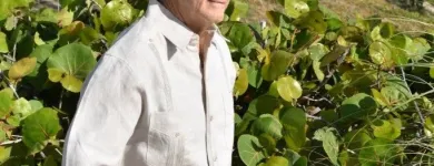 Business 38 image DACCORD SHIRTS & GUAYABERAS in Miami FL