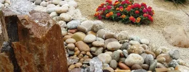 Business 4 image DAVE SUDA LANDSCAPE Pest Control in San Diego CA