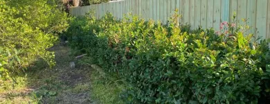 Business 1 image DELGADO MULTI-SERVICES, INC. Outdoor Enclosure Contractors in Tampa FL