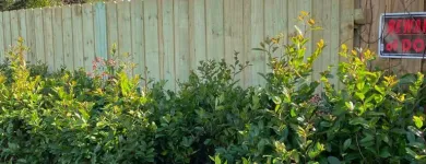 Business 3 image DELGADO MULTI-SERVICES, INC. Outdoor Enclosure Contractors in Tampa FL