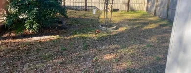 Business 4 image DELGADO MULTI-SERVICES, INC. Outdoor Enclosure Contractors in Tampa FL