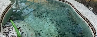 Business 8 image DELGADO MULTI-SERVICES, INC. Outdoor Enclosure Contractors in Tampa FL