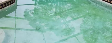 Business 11 image DELGADO MULTI-SERVICES, INC. Outdoor Enclosure Contractors in Tampa FL