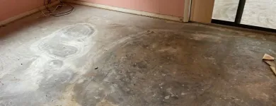 Business 13 image DELGADO MULTI-SERVICES, INC. Outdoor Enclosure Contractors in Tampa FL