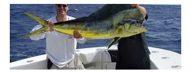 Business 1 image DOUBLE D CHARTERS Sports & Recreation in North Miami FL