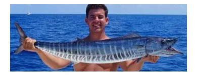 Business 3 image DOUBLE D CHARTERS Sports & Recreation in North Miami FL