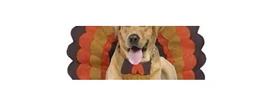 Business 12 image DUNK'N DOGS DOG WASH Pets & Animals in San Diego CA