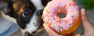 Business 52 image DUNKIN' Tea in Miami FL