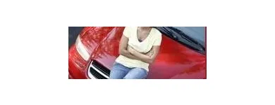 Business 3 image EB AUTO BODY SUPPLY & TOOL Automotive in Tampa FL