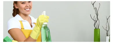 Business 3 image ECO-WAY CLEANING & ORGANIZING SOLUTIONS Cleaning Supplies in Montclair NJ