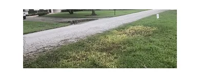 Business 2 image EVERGREEN JUNK REMOVAL Debris Removal in Tampa FL