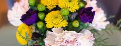 Business 7 image FERN & LOIS, FLORIST Shopping & Retail in Denver CO