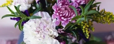 Business 9 image FERN & LOIS, FLORIST Shopping & Retail in Denver CO