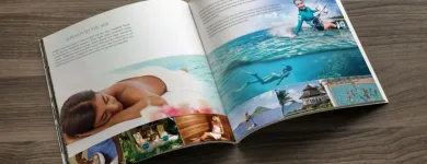 Business 12 image FIGMENT DESIGN, INC. Web Design & Development in Miami FL