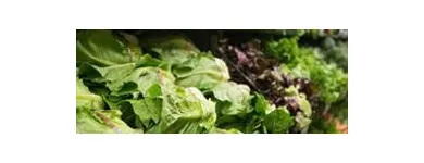 Business 9 image FRY'S FOOD AND DRUG Supermarkets in Phoenix AZ