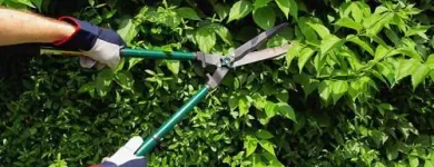 Business 3 image GATOR PROPERTY MANAGEMENT OF TAMPA BAY, INC. Residential Lawn Maintenance in Tampa FL