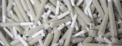 Business 8 image GREEN DRAGON RECREATIONAL MARIJUANA DISPENSARY EAST COLFAX AVE Pipes in Denver CO