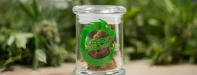Business 13 image GREEN DRAGON RECREATIONAL MARIJUANA DISPENSARY EAST COLFAX AVE Pipes in Denver CO