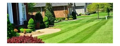 Business 5 image GREENPAL LAWN CARE Lawn Service in Tampa FL